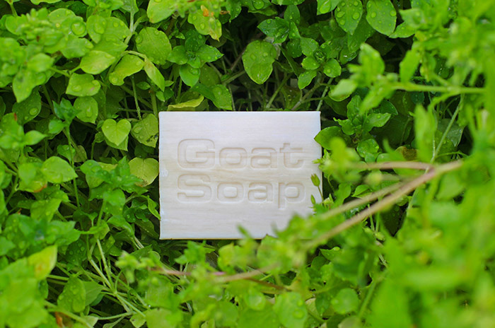 Goat Soap